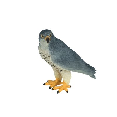 Mojo Wanderfalke