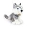 Rappa Câine de pluș husky așezat 30 cm ECO-FRIENDLY