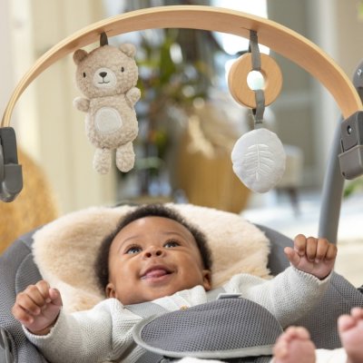 INGENUITY Swing conversível vibrando com melodia Every Season™ Chic Boutique™ 0m+ até 9 kg