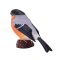 Mojo Bullfinch