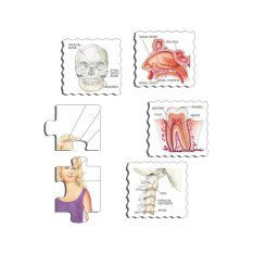 Larsen Lernpuzzle Unser Körper 35 Teile