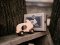 Wooden Story Liten kanin