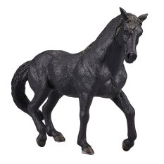Mojo Caballo andaluz negro