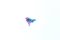EscapeWelt Drewniane puzzle Motyl 200 elementów