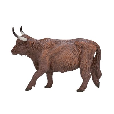 Mojo Touro Highland Escocês
