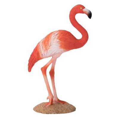 Mojo Flamingo Caraibean