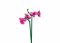 Sluban Flowers M38-B1101-12 Orchid in a vase