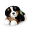 Rappa Peluche Bouvier bernois couché 23 cm ECO-FRIENDLY