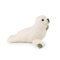 Rappa Peluche di foca 30 cm ECO-FRIENDLY