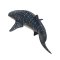Mojo Whale Shark