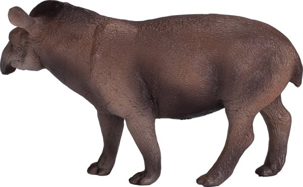 Mojo Južnoamerički tapir