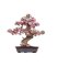 RoboTime 3D lesena sestavljanka Bonsaj sakura