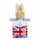 Rainbow Plüschhase Peter in Union Jack Tasche