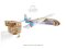 Ugears 3D drewniane mechaniczne puzzle Wyrzutnia samolotów
