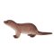 Mojo European Otter