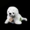 Rappa Pluszowa foka 25 cm ECO-FRIENDLY