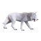 Mojo Arktischer Wolf