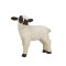 Mojo Hampshire Lamm stehend