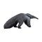 Mojo Giant Anteater