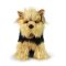 Rappa Plüss Yorkshire terrier kutya 25 cm ECO-FRIENDLY