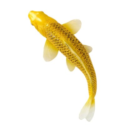 Mojo Carpa koi kin matsuba