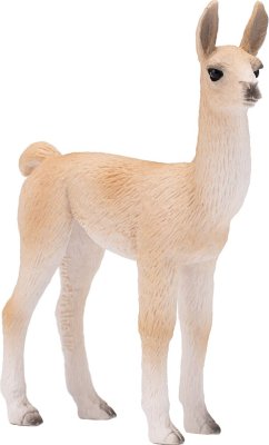 Mojo Lama Junges