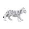 Mojo Weißer Bengal-Tiger Junges stehend