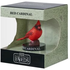 Mojo Kardynał szkarłatny w pudełku