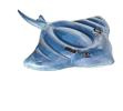 Plaisir d'été