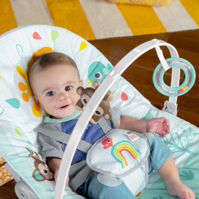 BRIGHT STARTS Vibrationswippe Wild Vibes™ 0m+ bis 18 kg