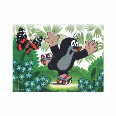 Dino Holzbausteine Maulwurf und Tiere 12 Stk.