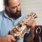 Puzzle mécanique 3D en bois Ugears Niněra (Hurdy-Gurdy)