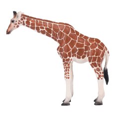 Mojo Girafe femelle