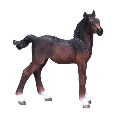 Mojo Hanoverian Foal Bay