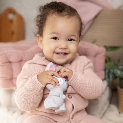 INGENUITY Sylvi™ rubber bunny teether 0m+