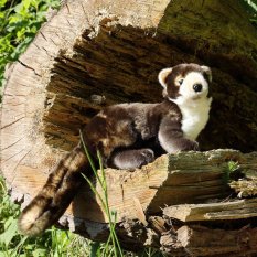 Rappa Plüschmarder 25 cm ECO-FRIENDLY