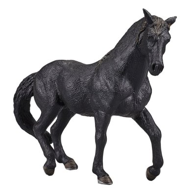 Mojo Andalusian Black Horse