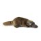 Rappa Ornitorinc de pluș 30 cm ECO-FRIENDLY