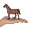 Mojo Arabian Mare Pregnant