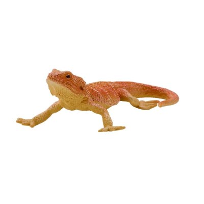 Mojo Agama