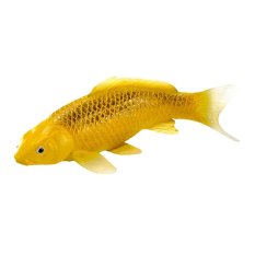 Mojo Karpfen Koi Kin Matsuba