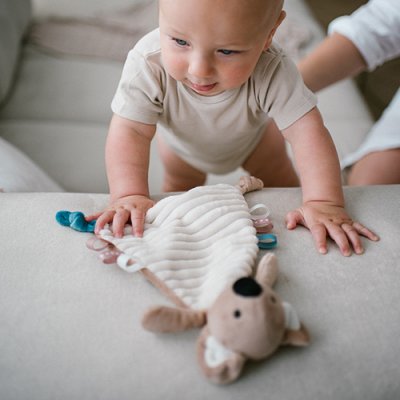 BABYONO Zabawka pluszowa Koala Charlie 0m+