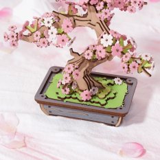 RoboTime Drewniane puzzle 3D Bonsai sakura
