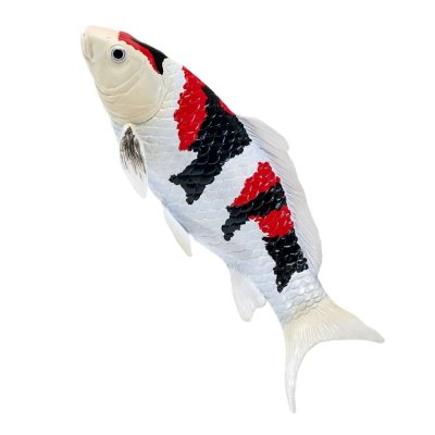 Mojo Carpa koi showa sanshoku