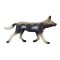Mojo Cão hiena