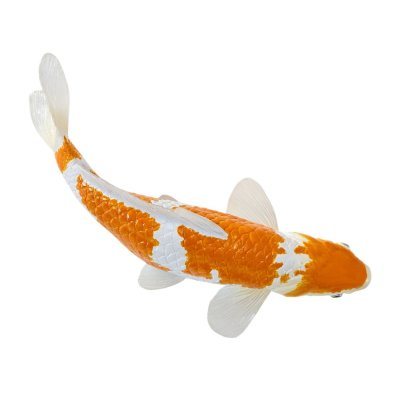 Mojo Kapr koi ochiba shigure