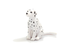 Mojo Dalmata kölyök