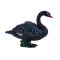 Mojo Cisne Negro
