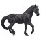 Mojo Andalusian Black Horse