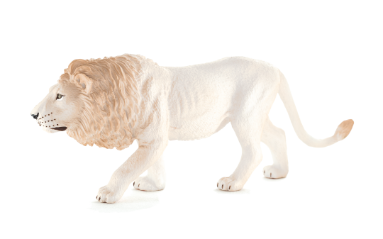 Mojo Leão branco
